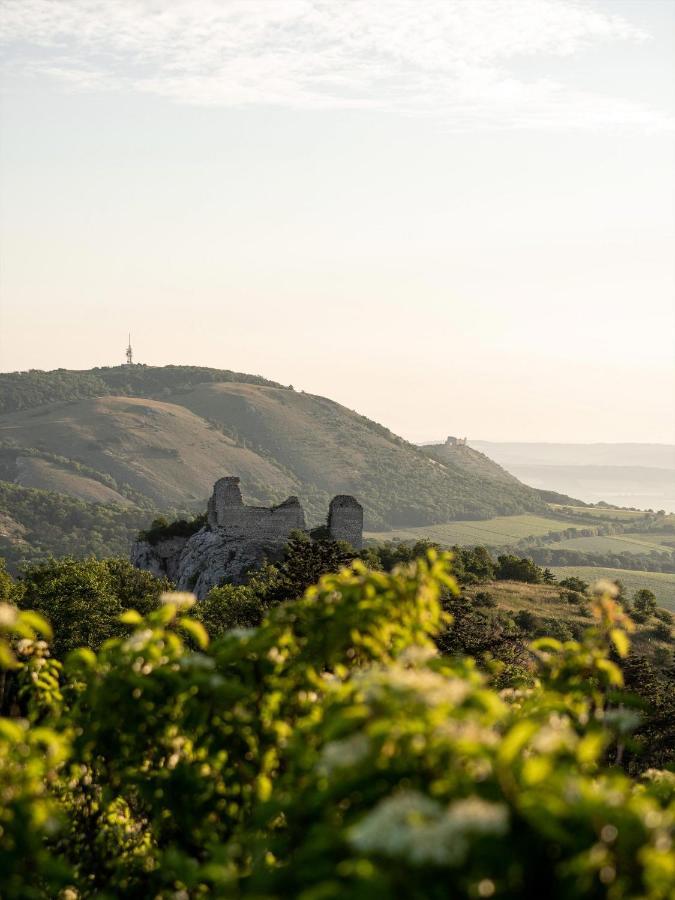 파블로프 Marinada Vinicni Dum B&B 외부 사진