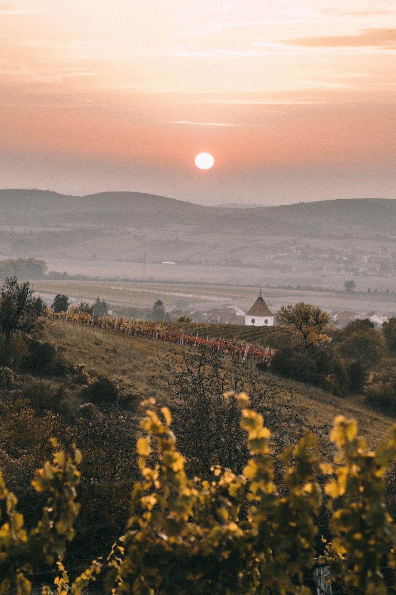 파블로프 Marinada Vinicni Dum B&B 외부 사진